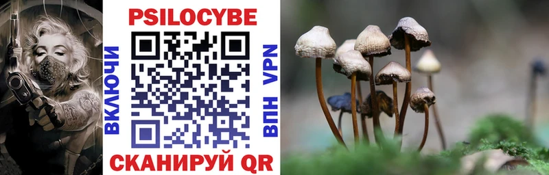 ОМГ ОМГ онион  Аргун  Галлюциногенные грибы мицелий 