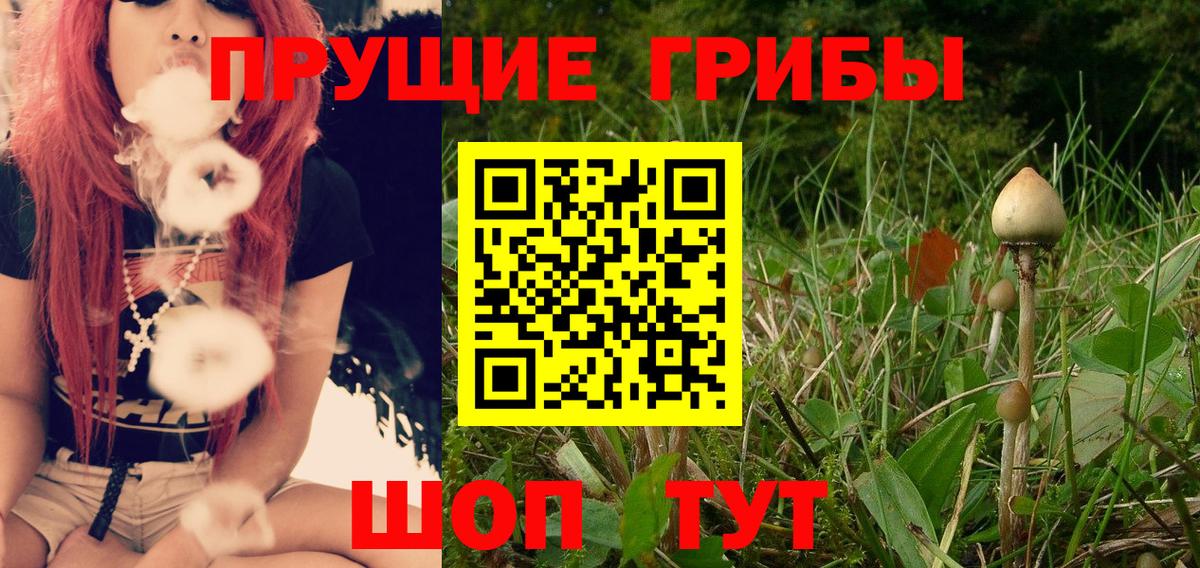 Галлюциногенные грибы Cubensis Аргун